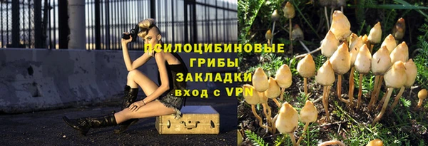 ГАЛЛЮЦИНОГЕННЫЕ ГРИБЫ Корсаков