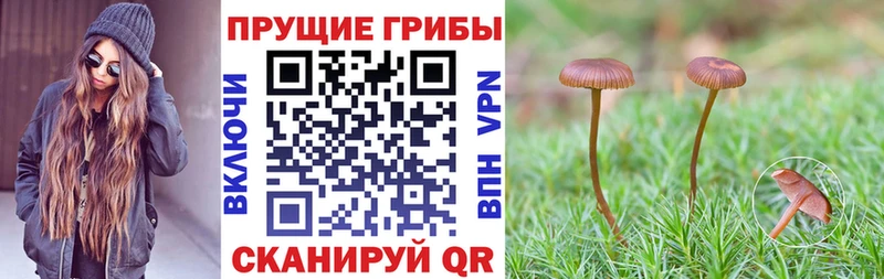 даркнет сайт KRAKEN ONION Псилоцибиновые грибы Psilocybe Куйбышев